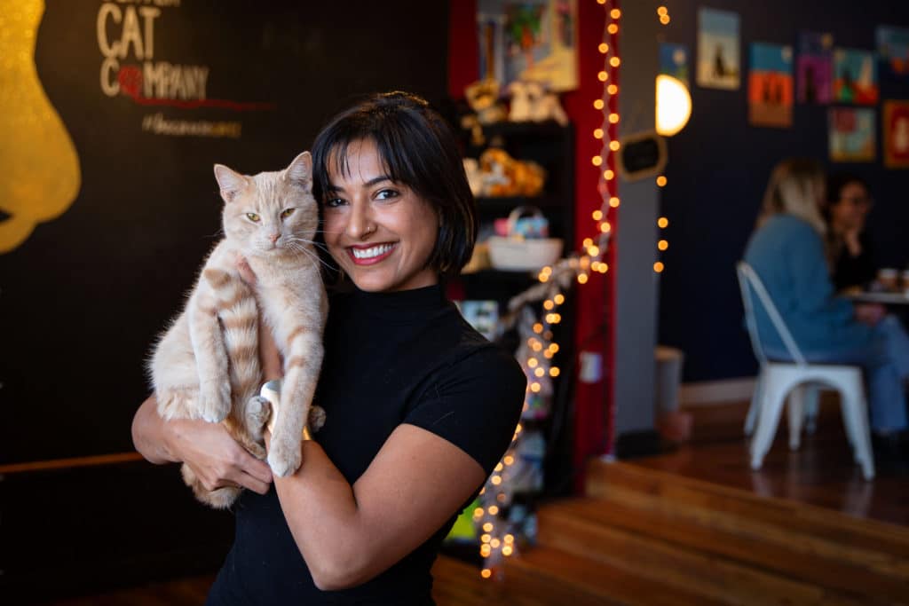 Leila Qari, owner of Denver Cat Company, holds an orange and white cat. Behind her is the cafe sign and a string of lights.